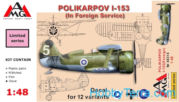 Polikarpov I-153 (Foreign)  AMG48310