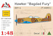 Hawker "Baghdad Fury" T MK61 Twoseater AMG48602