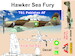 Hawker Sea Fury T MK61 Twoseater (Pakistan AF) Differend 2 seat configutation AMG48608