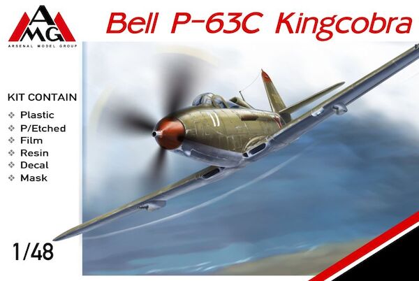 Bell P63C Kingcobra (Soviet Air Force)  AMG48654