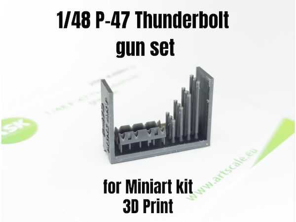 P47D Thunderbolt Gun Set (Mini Art)  200-A48012