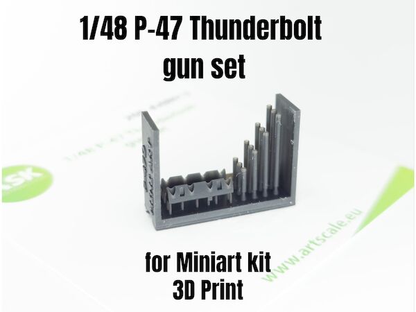 P47D Thunderbolt Gun Set (Mini Art) 200-A48012