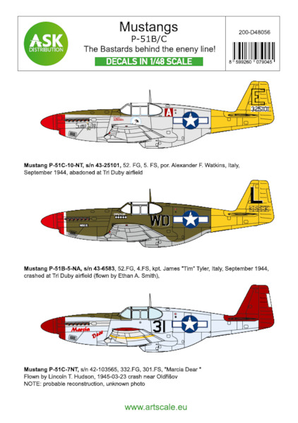 P51B/C Mustangs, The bastards behind the enemy line  200-D48056