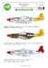 P51B/C Mustangs, The bastards behind the enemy line 200-D48056