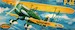 Cutiss Hawk P6E 116-98