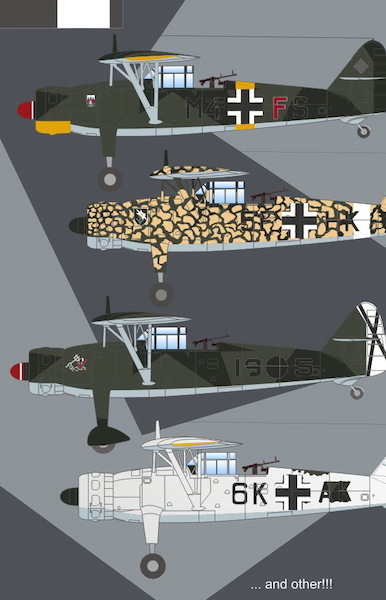Henschel Hs126 ad4829