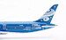 Boeing 787-9 Dreamliner Hainan Airlines "IHG Hotels & Resorts" B-1499 detachable gear  AV4277