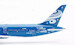 Boeing 787-9 Dreamliner Hainan Airlines "IHG Hotels & Resorts" B-1499 detachable gear  AV4277