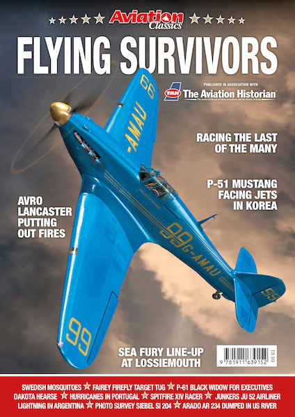 Flying Survivors 9781911639152