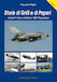 Storie di Grilli e Paperi, A brief history of Italian 102nd Squadron (102 Gruppo)