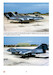 Dai Caproni Ai Typhoon, I Primo cento anni dei brandy (From Caproni to Typhoon, the first one hundred years of the 18th Gruppo  9788894105070