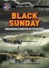 Black Sunday. When Weather claimed the US Fifth Air Force. Second Edition