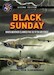 Black Sunday. When Weather claimed the US Fifth Air Force. Second Edition