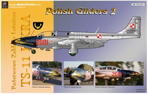 Polish Gliders Part 2; TS11 AZT72037