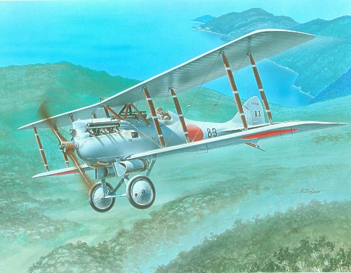 Nakajima Ko4 (NiD29) fr006