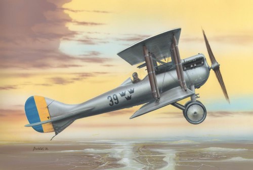 Nieuport NiD29 Export fr007