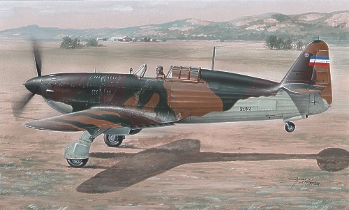 Rogozarski IK3 "Fighting Prototypes" (BACK IN STOCK)  fr014