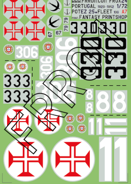 Portuguese Potez 25 and Fleet 10G  FROX24