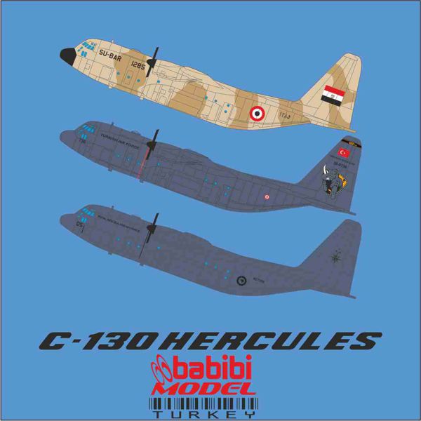 Lockheed C130E Hercules (Turkish AF, New Zealand AF, Egypt AF) DDT-01077