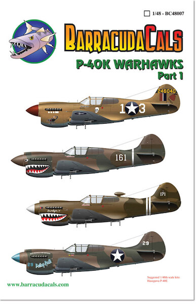 Curtis P40K Warhawks Part 1  bc48007