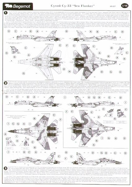 Suchoi Su33 Sea Flanker BM48-07