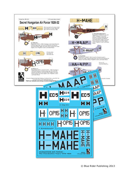 Secret Hungarian Air Force (UFAG UC.1, Phonix C.1)  BR223