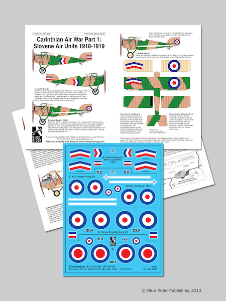 Carintian Air War (Post WW1)  BR229