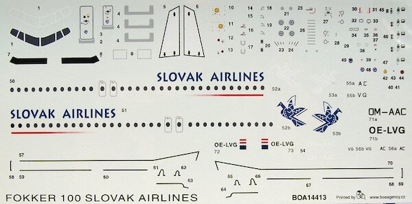 Fokker F100 (Slovak Airlines)  boa14413