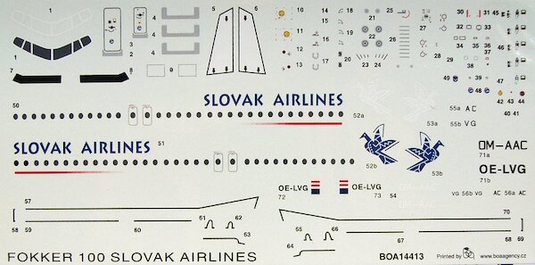 Fokker F100 (Slovak Airlines) boa14413
