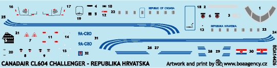 Canadair CL601 Challenger (Croatian Government VIP Transport)  boa14426