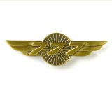 Boeing 777 WINGS PIN  580080020083