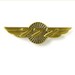 Boeing 777 WINGS PIN 580080020083