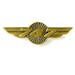 Boeing 747 WINGS PIN 580080020084