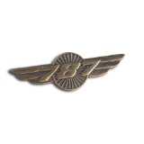 Boeing 787 WINGS PIN  585085010013