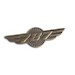 Boeing 787 WINGS PIN 585085010013