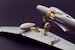 Bell P39 Airacobra Detail set (Brengun) brl144149