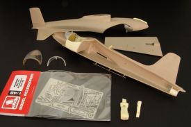 BAC167 Strikemaster p/e and resin set (FLY)  brl48056