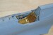 Detailset P40E Kittyhawk MkIa (Legato/AZ) BRL72039