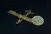 SG38 Glider stripdown BRS144064
