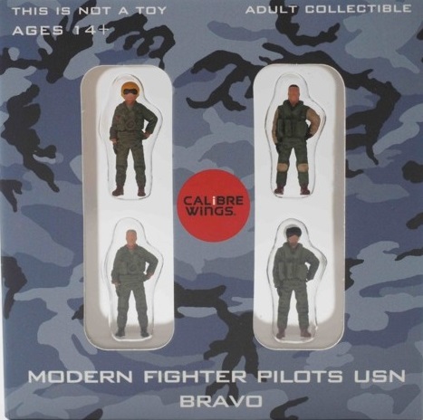 Modern Fighter Pilots USN Bravo  CA72WS02