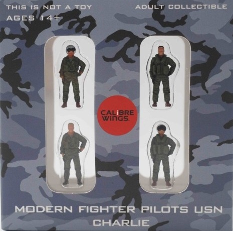 Modern Fighter Pilots USN Charlie CA72WS03