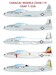 USAF T-33A Shooting Star CD48119
