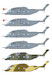 USAF CH53 Super Jolly green Giant and Pave Low  CD48206