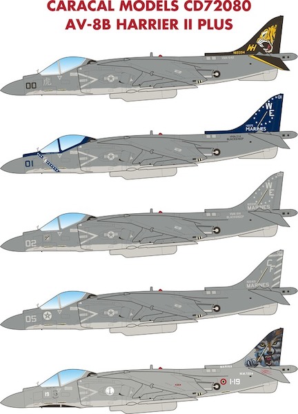 AV8B Harrier IIB CD72080