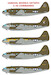 Curtiss C46 Commando  CD72093