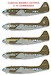 Curtiss C46 Commando CD72093