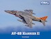 AV8B Harrier II (Expected october 2025)