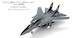 Grumman F14B Tomcat U.S.Navy, VF-103 Jolly Rogers, AA103, USS John F. Kennedy, Squadron 60th Anniversary 2003 CW001637