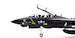 Grumman F14A Tomcat U.S.Navy VX-4 Evaluators, Vandy 1 / Black Bunny, NAS Point Mugu, CA, 1985  CW01642