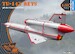 Tupolev Tu143 Reys, Photo Reconnaisance CP3505